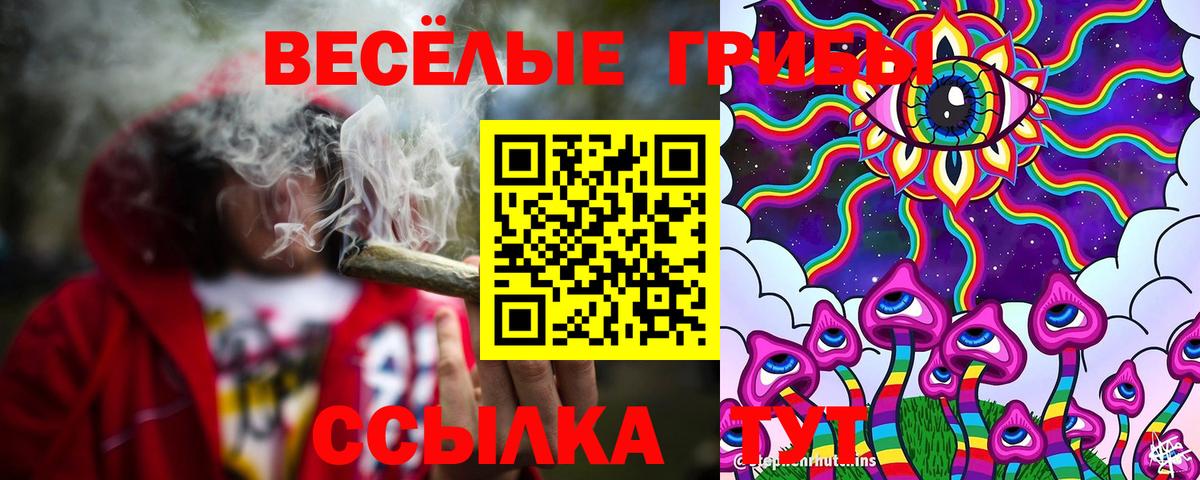 Галлюциногенные грибы Cubensis Чистополь