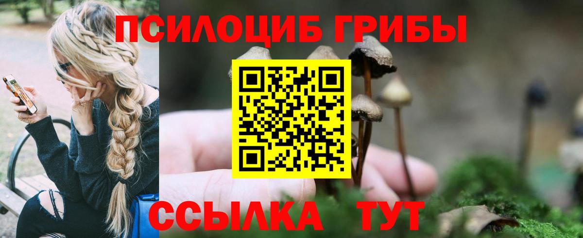 Галлюциногенные грибы Magic Shrooms  Вход с VPN  Галлюциногенные грибы ЛСД  Чистополь 