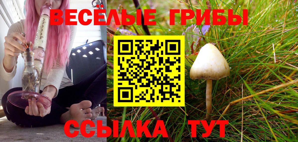 ГЕРОИН Чистополь